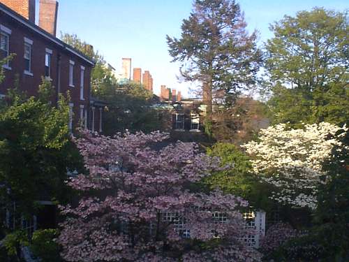 Spring view