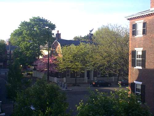 spring view