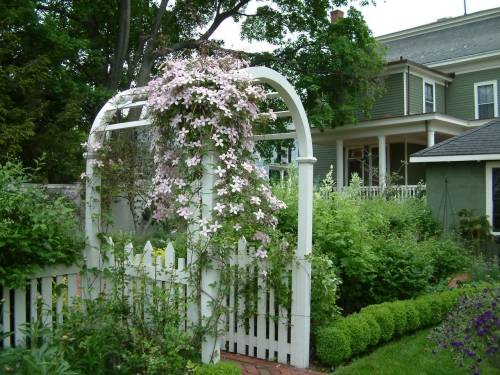 garden, June 2003